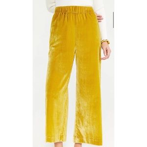 ANN TAYLOR The Velvet Pull On Pant